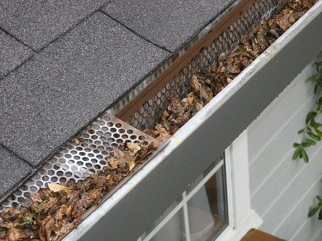 essential gutter maintenance tips for aiken, sc homeowners, gutter guard ipswich gutter pr